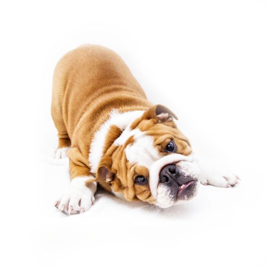 Selected group image