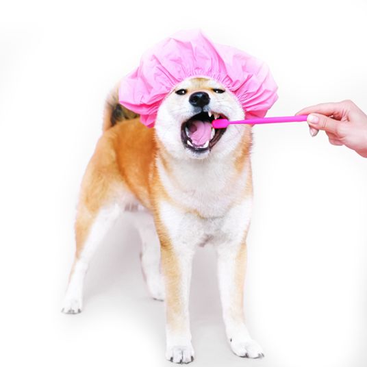 Selected group image