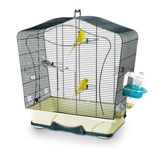 Selected group image