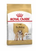 RC BHN BULLDOG adult