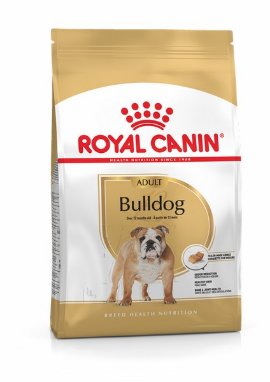RC BHN BULLDOG adult