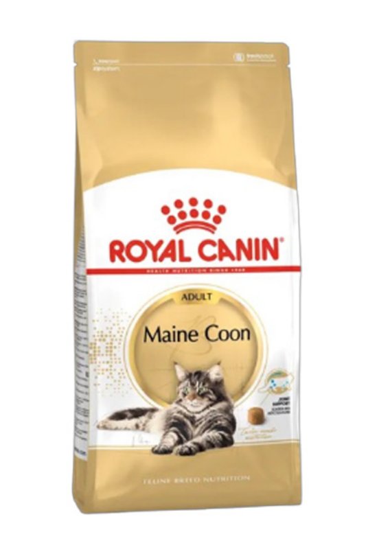 RC FBN MAINE COON