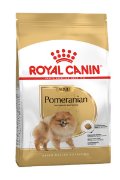 RC BHN POMERANIAN 1,5 KG