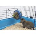Savic Bunny Toy - assorted colours