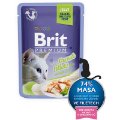 BPC-pouch Trout Fillets in Jelly for Adult cats 85g (24) - Fileji Postrvi v želeju za odrasle mačke