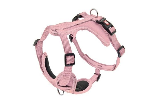 FB OPRSNICA CESARE XS 1,5CM ROZA