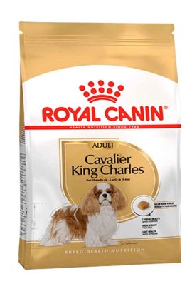 RC BHN CAVALIER adult