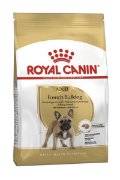 RC BHN FRENCH BULLDOG AD 3KG