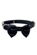 CR ovratnica Papillon Ceremony S, modra, 1,5X28-44 cm