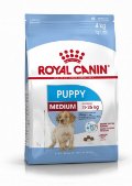 RC SHN MEDIUM PUPPY