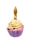 CR priboljšek za pse PARTY CUPCAKE, 65 g