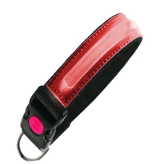 PI ovratnica LED, najlon, M, rdeča, 2,5 x 40–44 cm