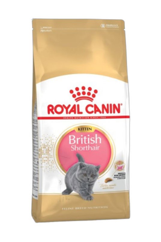 RC FBN BRIT SH KITTEN 2KG INT 18A