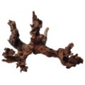 CR WOOD MYSTIC WOOD