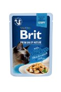 BPNC-pouch Delicate Fillets in gravy with Chicken 85g (24) Fileji s piscancem v omaki