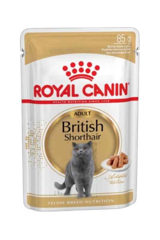 RC BRITISH SHORTHAIR 85G N15C