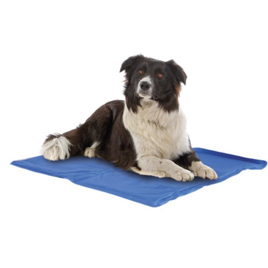 CR HLADILNA PODLOGA MAT FRESH 65 X 50 CM