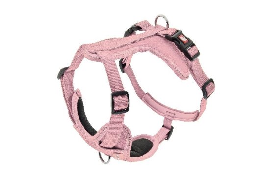 FB OPRSNICA CESARE S 1,5CM ROZA