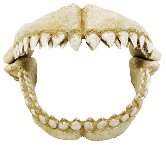 CR SHARK TEETH M