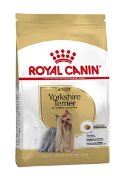 RC BHN YORKSHIRE adult