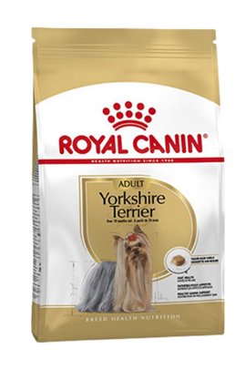 RC BHN YORKSHIRE adult