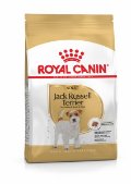 RC BHN JACK RUSSEL adult
