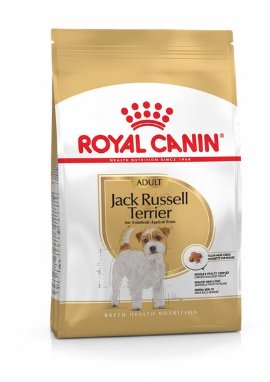RC BHN JACK RUSSEL adult