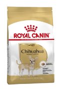 RC BHN CHIHUAHUA adult