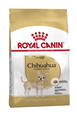 RC BHN CHIHUAHUA adult