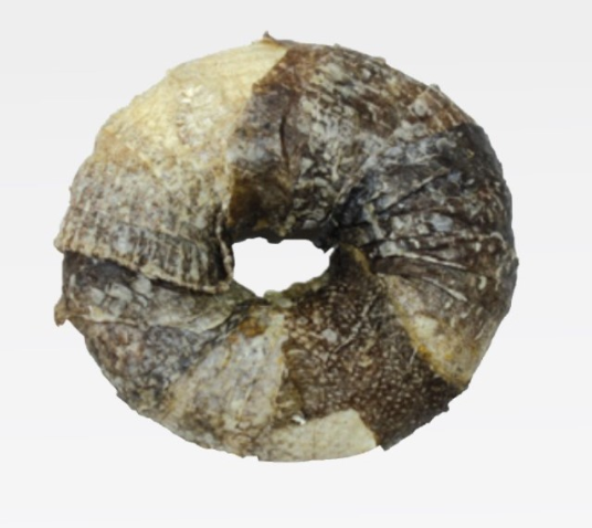 CR BBQ PARTY DONUT RIBA 9 cm (20)