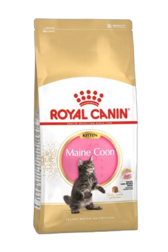 RC FBN MAINE COON KIT 2KG INT 18A
