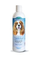 BG INDULGE/ sampon z arganovim oljem 236,59ml