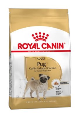RC BHN PUG adult