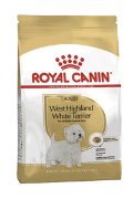 RC BHN WESTIE adult
