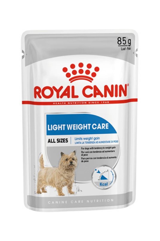 RC CCN LIGHT W.CARE 85 G