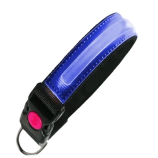 PI ovratnica LED, najlon, M, modra, 2,5 x 40–44 cm