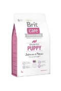 Brit Care Grain-free Puppy Salmon&Potato