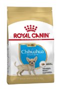 RC BHN CHIHUAHUA junior