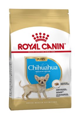 RC BHN CHIHUAHUA junior