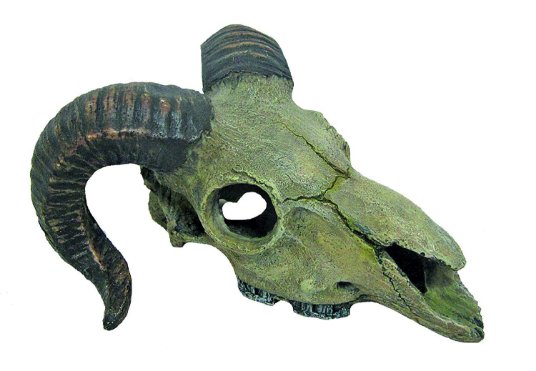 D. CR. AKV, DEKOR. LOBANJA MUFLON