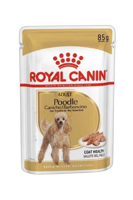 RC POODLE 85G