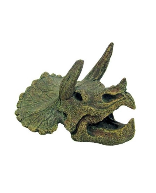 CR AKV. DEKORACIJA TRICERATOPS SKULL