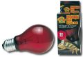 D. CR REPTY NIGHTLIGHT ŽARNICA 40 W