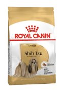 RC BHN SHIH TZU adult