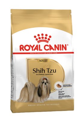 RC BHN SHIH TZU adult