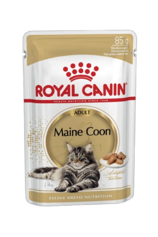 RC MAINECOON 85G INT1 17C