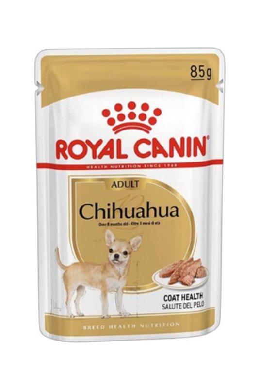 RC CHIHUAHUA 85G