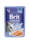 BPNC-pouch Delicate Fillets in jelly with Salmon 85g (24) Fileji z lososom v zeleju