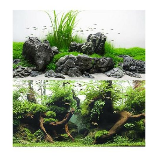 CR OZADJE ZA AKVAR. AMAZONIA BLISTER 30x60 cm