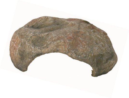 TRIXIE JAMA ZA PLAZILCE 30 × 10 × 25 cm